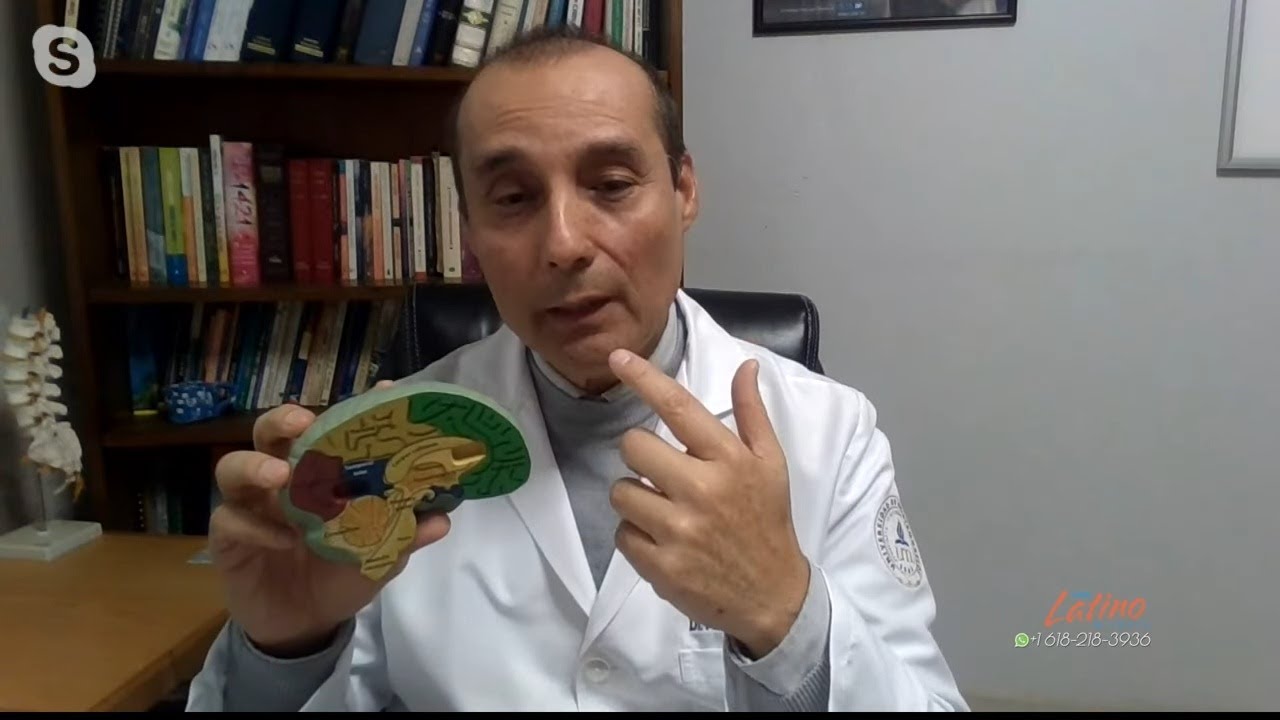 Psiconeuroendocrinoinmunoloogía