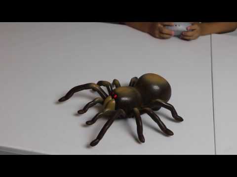 RC TARANTULA!!