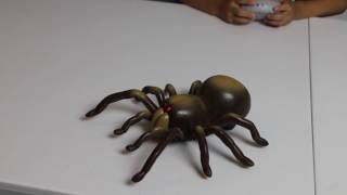 RC TARANTULA!!