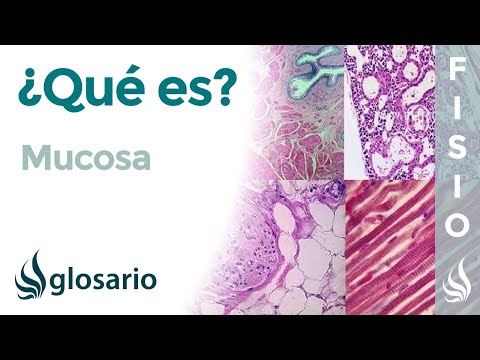 Vídeo: Què és l'engrossiment de la mucosa polipoide?