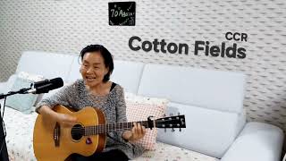 Cotton Fields covered by @70어게인@70again #CCR #기타연주 #song #추억의노래 