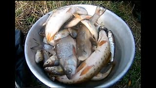 Рыбачим сетями на реке 3 рыбалки в одном видео 