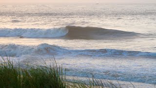 Details Hurricane Isaias leftovers in New Jersey Guide