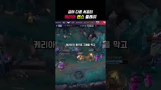 “ 뒤를 부탁해 도란 “