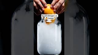 Liquid nitrogen vs mango🥭 experiment viral video #scienceexperiment #viral #satisfying #relaxing Profile