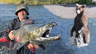 VERY fishy river and fishing in Kamchatka. Unforgettable encounters with bears!!!