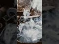 🔥The Key Process of Knife Hardness with Oil#blacksmith #knife #forging #heatreatment #metalworking