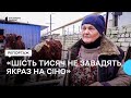 Жителі Донецької області можуть отримати гроші на корм тваринам: як подати заяву