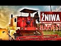 Żniwa, Harvest - Iwona Blecharczyk 2019/57