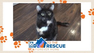 16 To The Rescue: Bryan