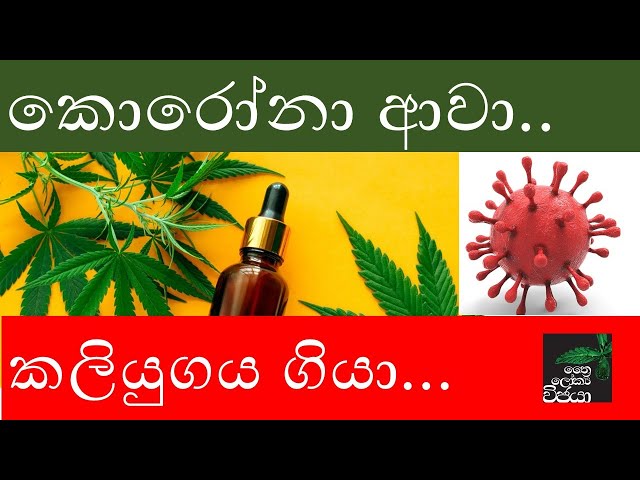 කලියුගය අවසන් වෙයි - නවයුගයක් බිහි වෙයි - we are in transformation- must watch this video