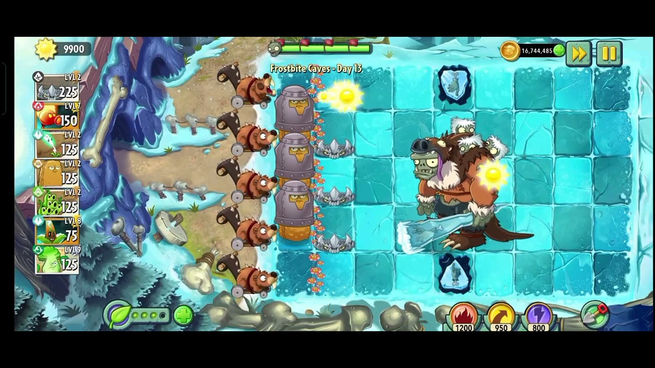 Кутя какого числа