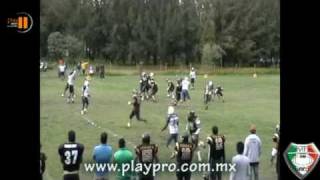 OMFA 7º Jor 2009