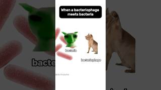 Secret Virus That Makes Cells Explode