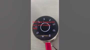 Ball Type Fingerprint lock