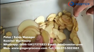 Automatic Ginger Slice and Stick Cutting Machine