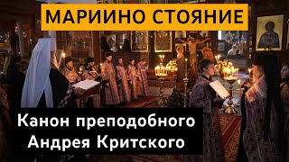 Мариино стояние. Канон прп. Андрея Критского. 29.3.23 г.