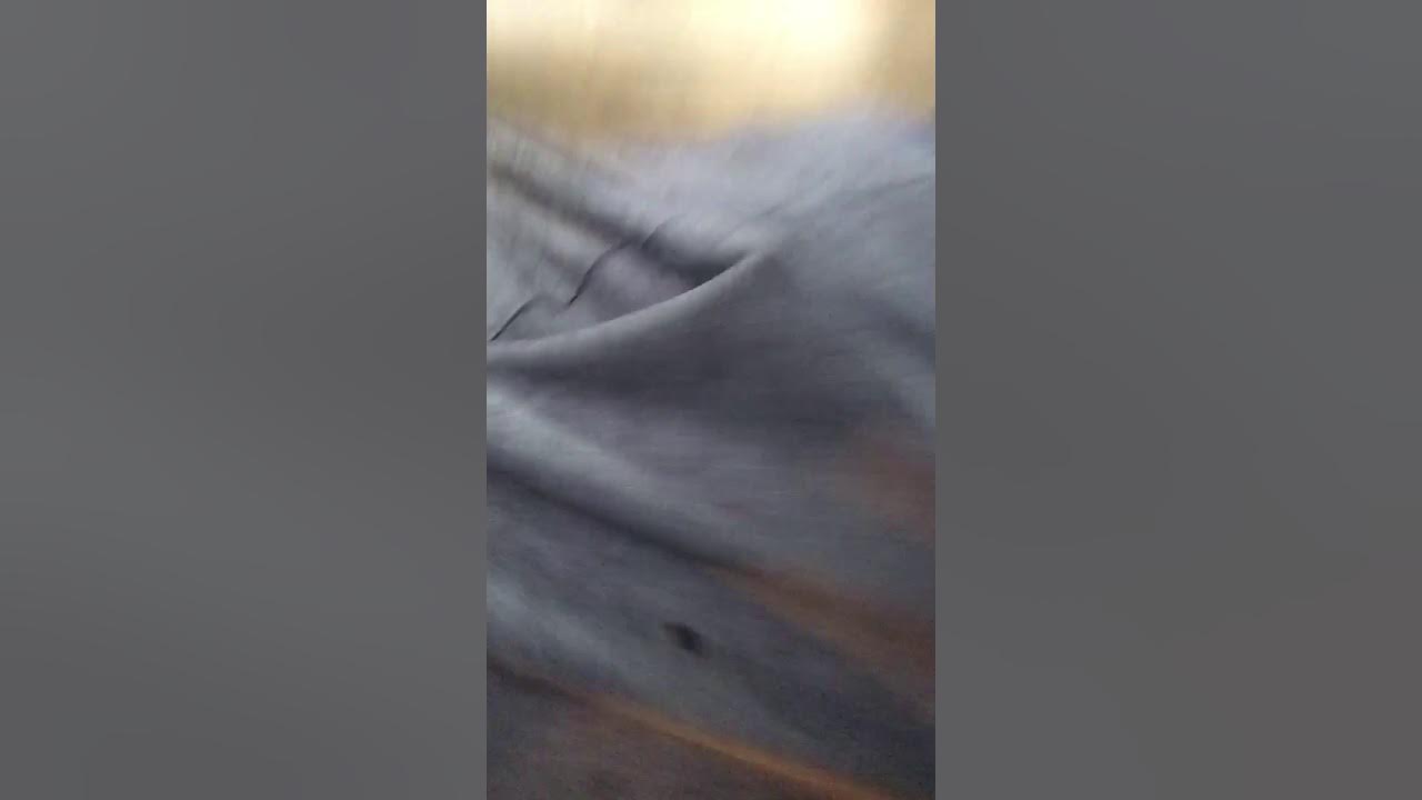 I don’t know just got zapped by n electrical outlet YouTube