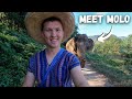 Playing with Elephants in Chiang Mai, Thailand 🇹🇭