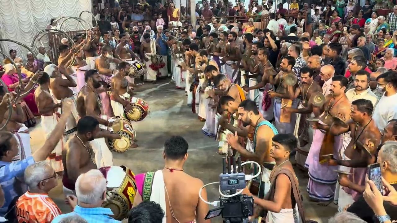 ഒറ്റപ്പാലം ഹരി Sadanam Bharatharajan പഞ്ചവാദ്യം പതികാലം കലാശം Nurani #panchavadhyam #പഞ്ചവാദ്യം