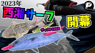 【西湘サーフ】2023年サーフフィッシング開幕！ビーチウォーカーヴィクトでイナダ＆マゴチ！