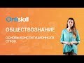 Обществознание 9 класс: Основы конституционного строя