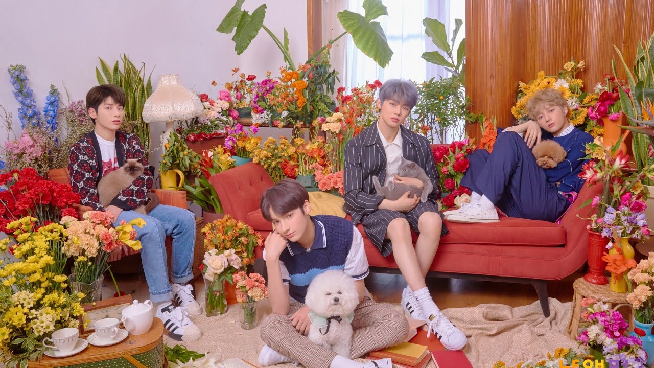 txt logo #TOMORROW_X_TOGETHER #TXT #BIGHIT TOMORROW_X_TOGETHER Cat & Dog Concept Photo TXT