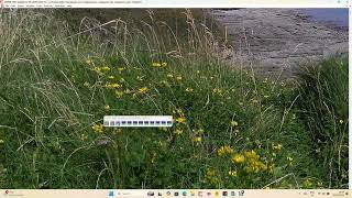 AI Deepseek make a Knowledge Base of Windows 11 apps for EXPERT TEXT GLOBAL UI OS LAYER screenshot 2