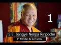 1-El Poder de la Practica-H E.Sangye Nenpa