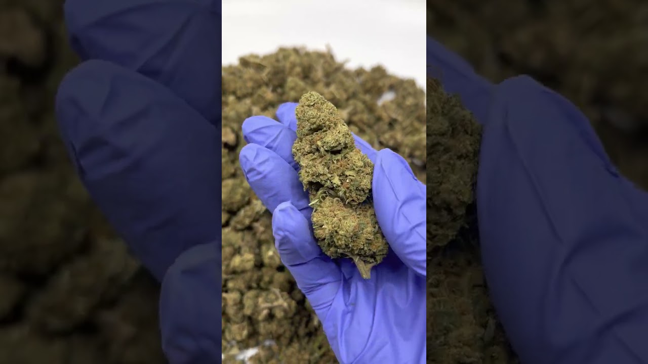 ACDC Sour Diesel CBD