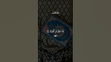 سورة النجم 🎧🌟 #quran #المصحف #قرآن #تلاوة_خاشعة #ارح_قلبك اكتبوا بالتعليقات وشاركوا الأجر