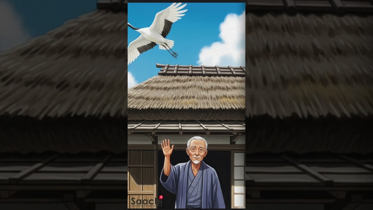 鶴の恩返し | The Crane's Return of a Favor | Saachi Japanese