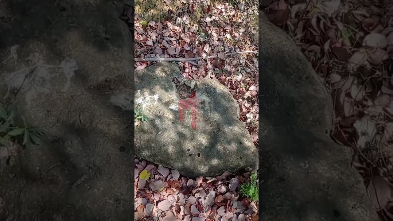 Campalok Tembakau Termahal dan Terbaik di Kabupaten Sumenep