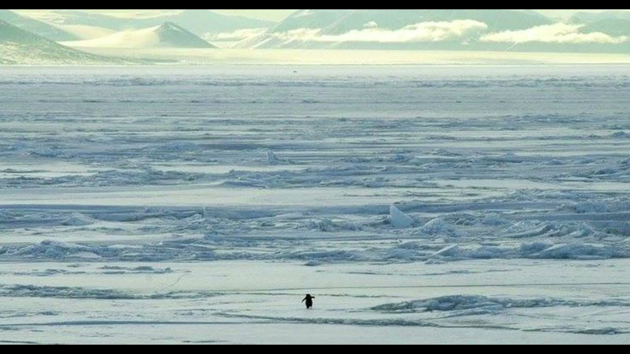 Gigi D'Agostino L'amour Toujours Organ Slowed Version AKA The Wandering Penguin Song (But Why?) 