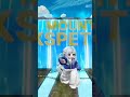 Mount Ekspetasi Roblox