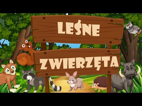 Zwierzęta w Lesie - Odgłosy Zwierząt - Zwierzęta dla dzieci po polsku