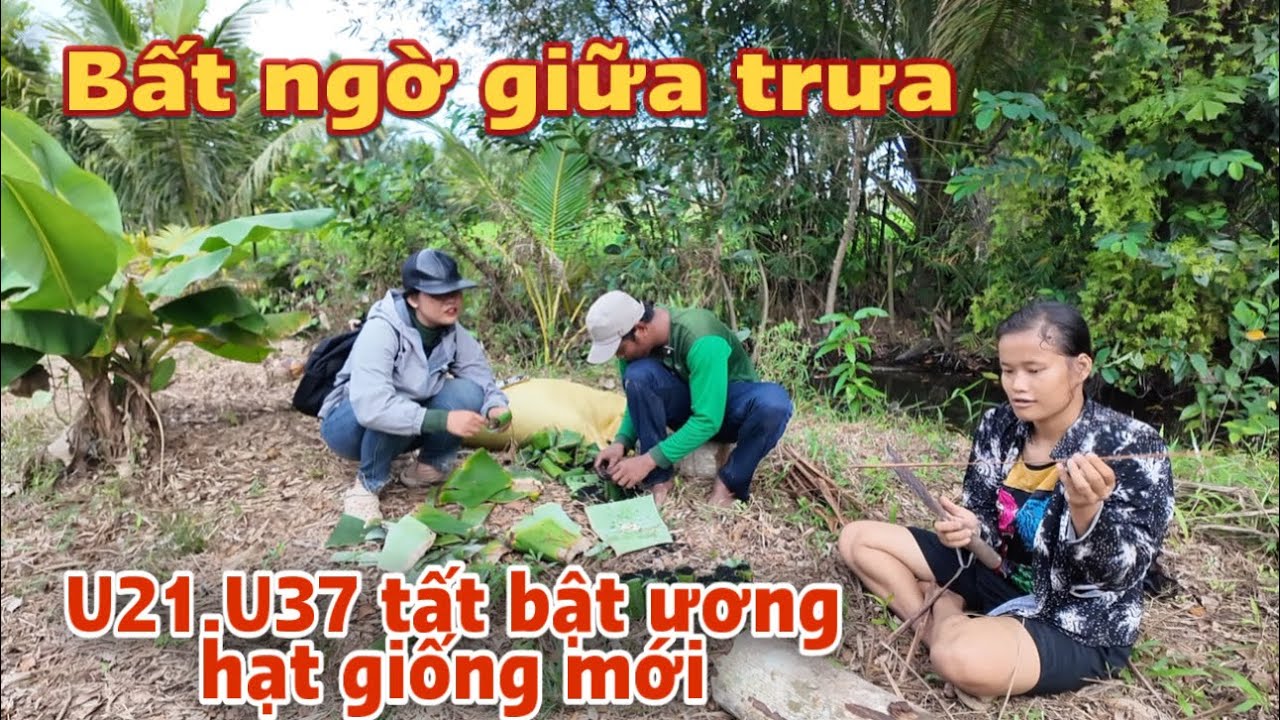 Bất ngờ U21 hôm nay biết ra phụ chồng U37 ương hạt giống mới để bổ sung thêm #u30 