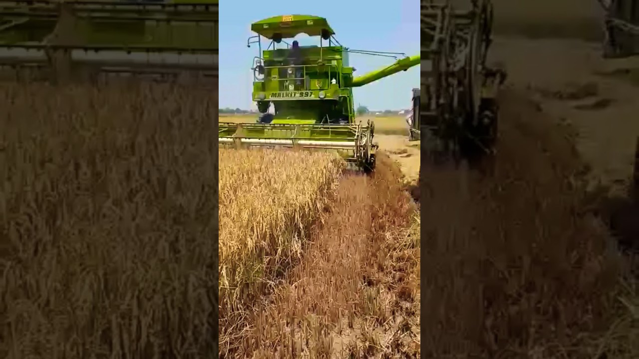 ## viral video malkit 987##