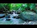 🌊 Calm Water Flow Sounds for Relaxation, Sleep and Stress Relief 💆♂️