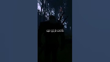 ﴿ضَرَبَ اللَّهُ مَثَلًا لِّلَّذِينَ كَفَرُوا﴾ #قرآن #القرآن_الكريم #quran #تلاوة_خاشعة #foryou #fyp