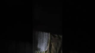 2018100201小孩睡前講故事(2y8m12d)