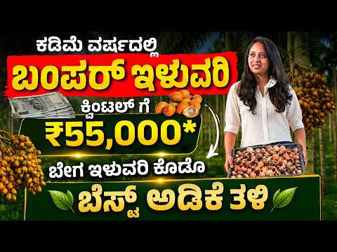 ಅಡಿಕೆ ಕೃಷಿಯಲ್ಲಿ ಹೆಚ್ಚು ಆದಾಯ ಪಡೆಯುವ ರಹಸ್ಯ | Arecanut Farming Tips Kannada | Arecanut Farming 2026