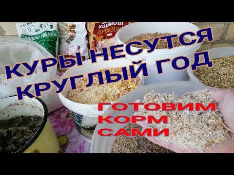 🐓🐓ГОТОВИМ СБАЛАНСИРОВАННЫЙ КОРМ КУРАМ НЕСУШКАМ. Состав, пропорции.