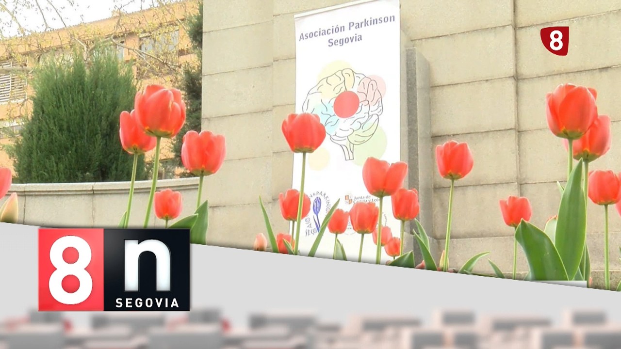 Noticias La 8 Segovia Edición 14,00 h | Viernes 10-04-2026