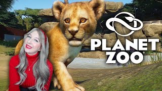Hanging Out With The Cute Animals On Planet Zoo