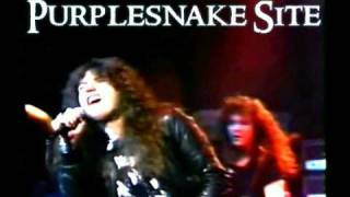 Download Lagu Whitesnake   Ready An' Willing (Sweden 1984) MP3