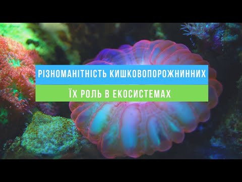 Різноманітність кишковопорожнинних. Їх роль в екосистемах.