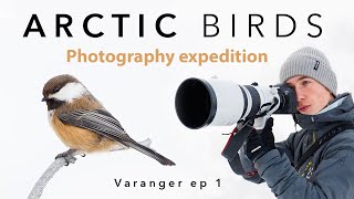 BIRD PHOTOGRAPHY in the ARCTIC ⎸ Varanger Expedition ep 1