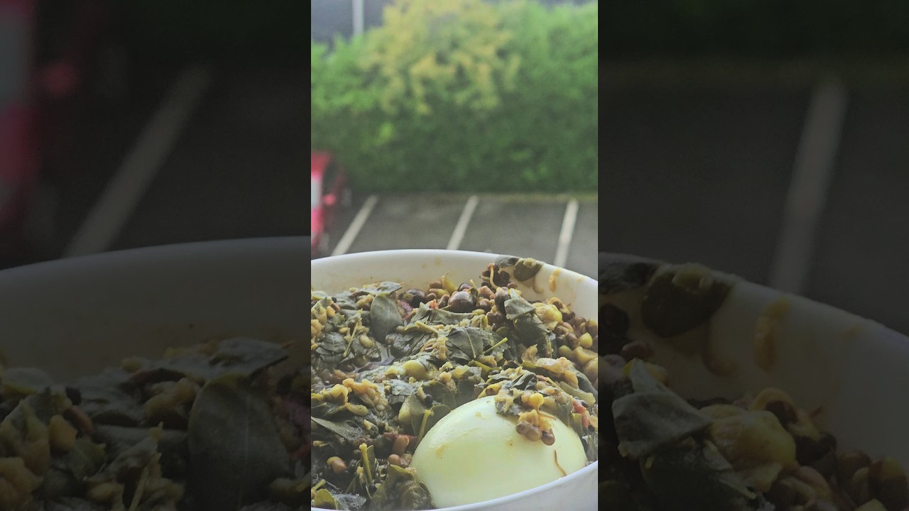 Healthy stuffs with nature, Moringa leaves and sprouts 