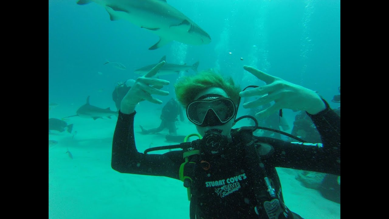 Nassau Bahamas, Stuarts Cove Dive with Sharks, Shopping Straw Market